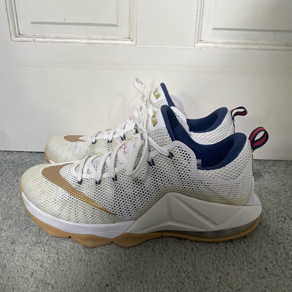 Nike LeBron 12 Low